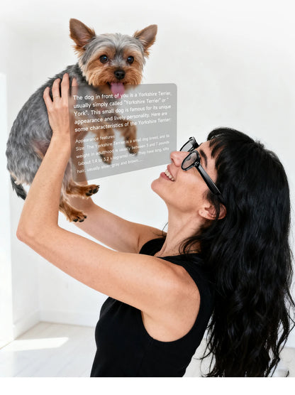 2026 AI Smart Glasses 200W HD Camera 1080P Translation AI Voice Assistant Music Playback LED Flashlight Men Women Smart Glasses